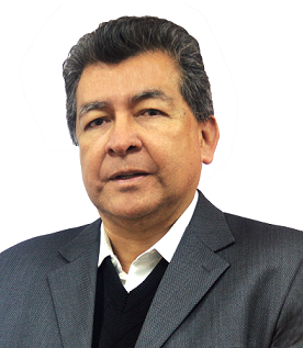NICOLAS CANEVARO BOCANEGRA
